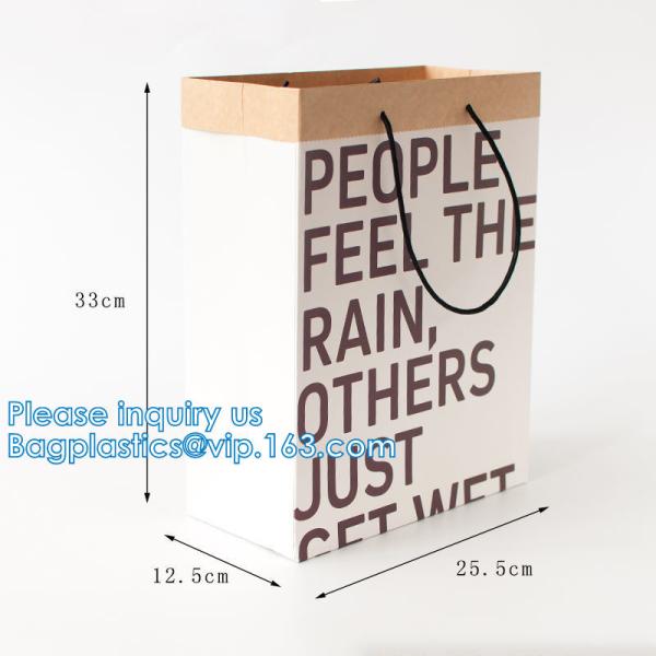 Retail Bag with Rope Handle, Metallizing, Business Bags, Craft Bags, Party Bags,
