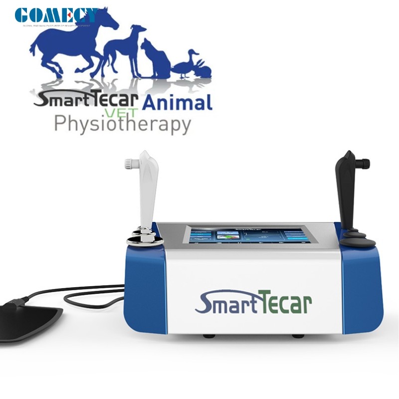 Portable High-Performance Radiofrequency Tecar Therapy for Horse Sports Injuries - Advanced Physiotherapy Treatment