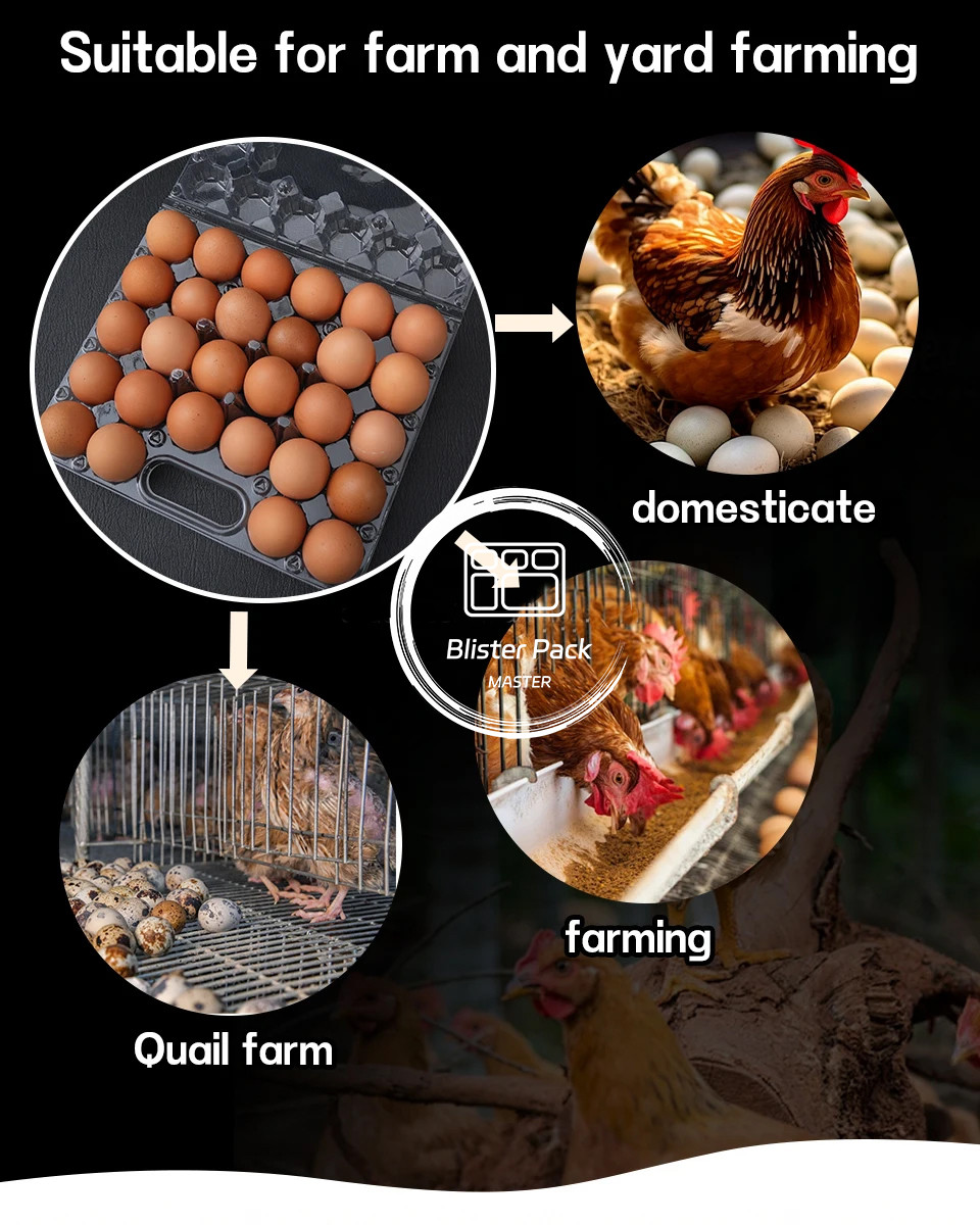 28 Hole Thermoformed Custom Clear PET Plastic Transparent Egg Blister Tray For Chicken Eggs