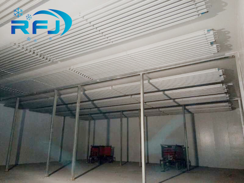 CE Walk In Freezer Room Refrigeration Chamber Industrial Fridge Freezer System