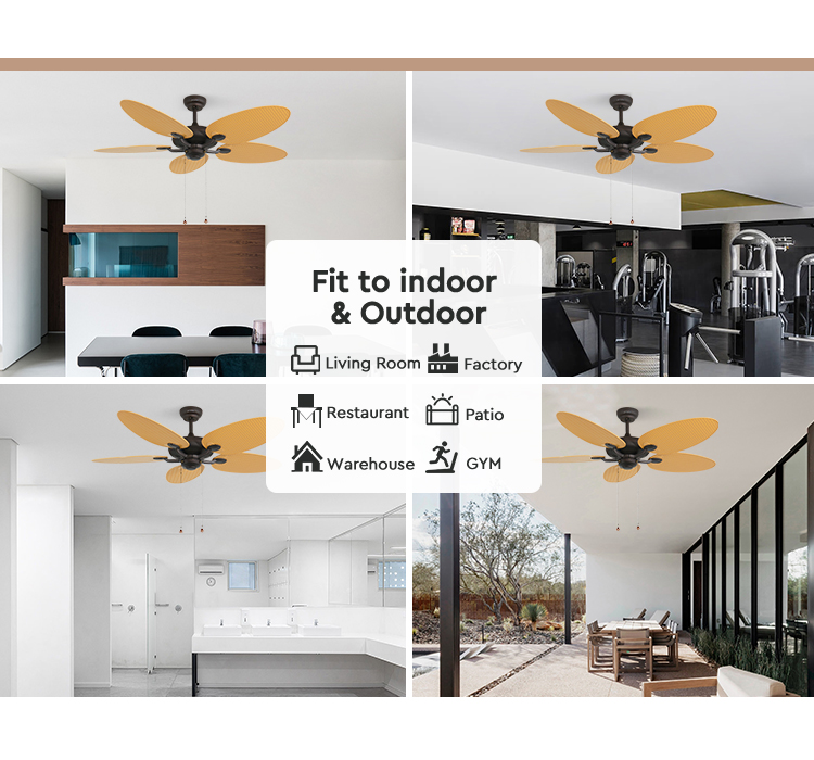 ceiling fan