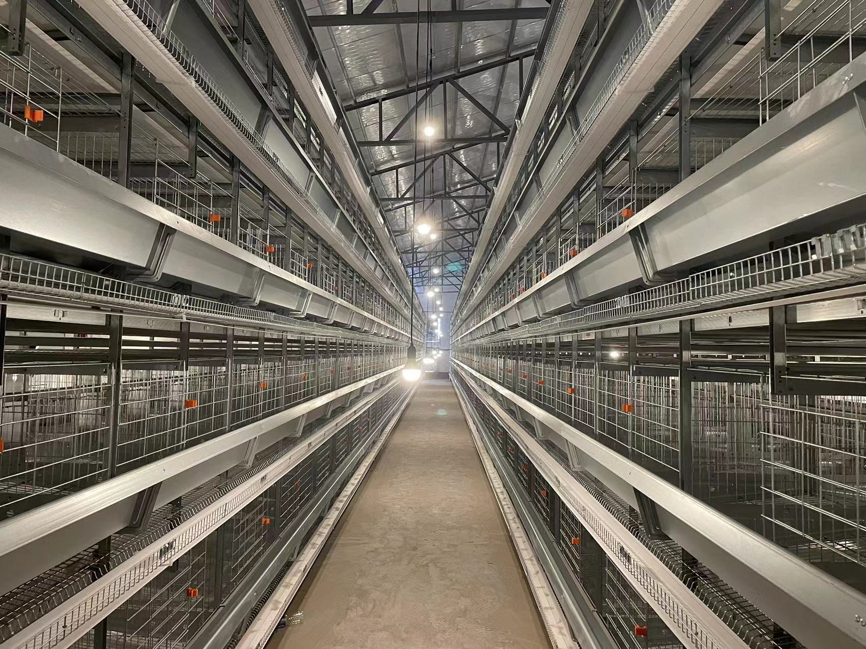 Galvanized Automatic H Type Layer Chicken Cage Convenient Management