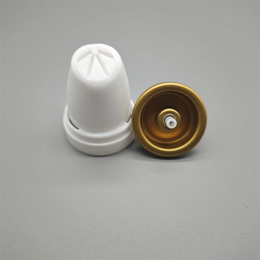 Reliable Aerosol Hair Mousse Dispenser for Travel - Portable Styling Solution for On-the-Go