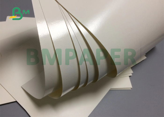 300gsm 350gsm Food Grade 1 Side PE Coated Paper Board  For Disposable Paper Bowl