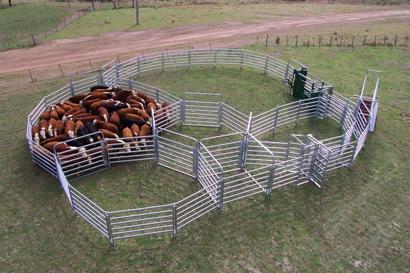 Customizable Q195 Galvanized Cattle Fence Panel With Gates