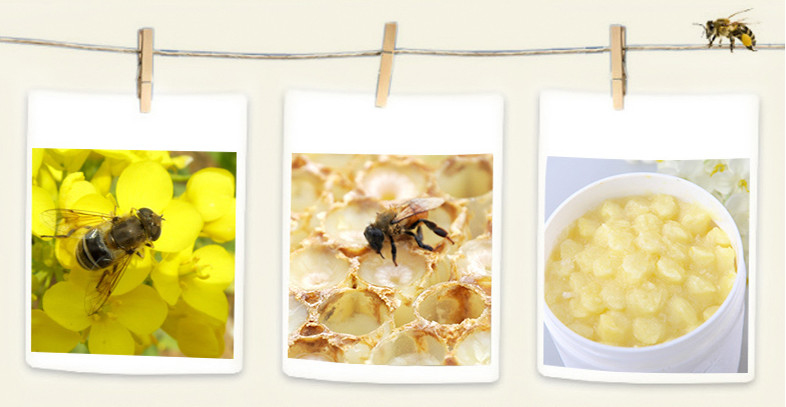Food Grade 10-HDA 2.0% Organic Fresh Royal Jelly Natural Pure