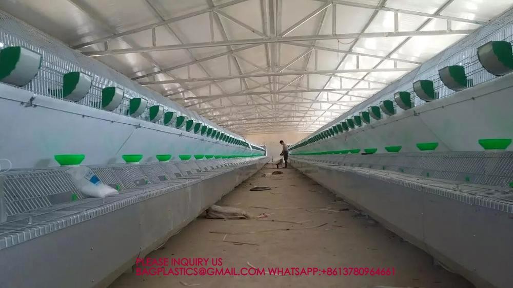 Rabbit Cage, Cage Net Galvanized Wire Poultry Farming Meat Broiler Battery Rearing Cage