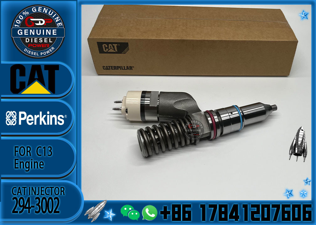 Factory Direct Supply Common Rail Injector 249-0709 294-3002 294-3002 10R-6162 2490709 2943002
