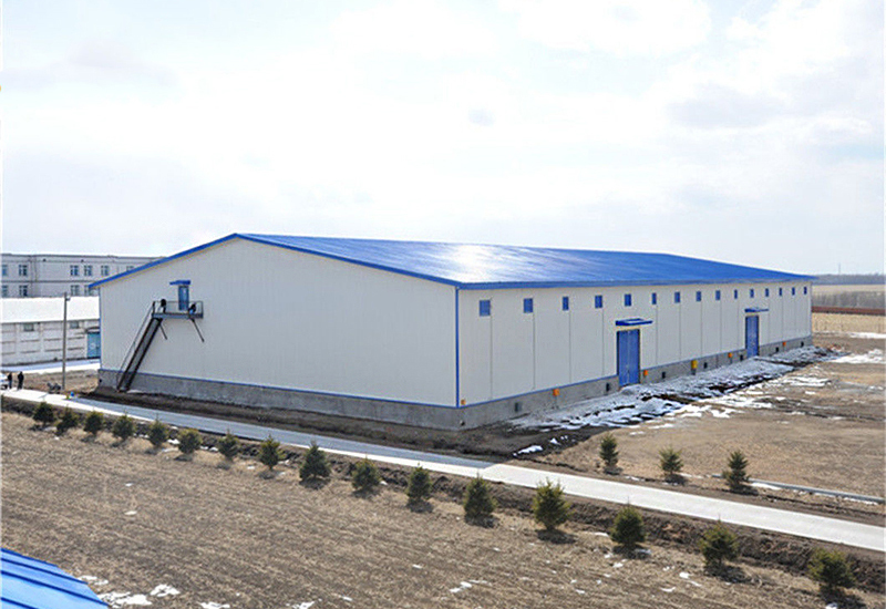 Customized Solutions for Steel Structure Warehouse 10 Years Export Manufacturing and After-Sales Support Experience