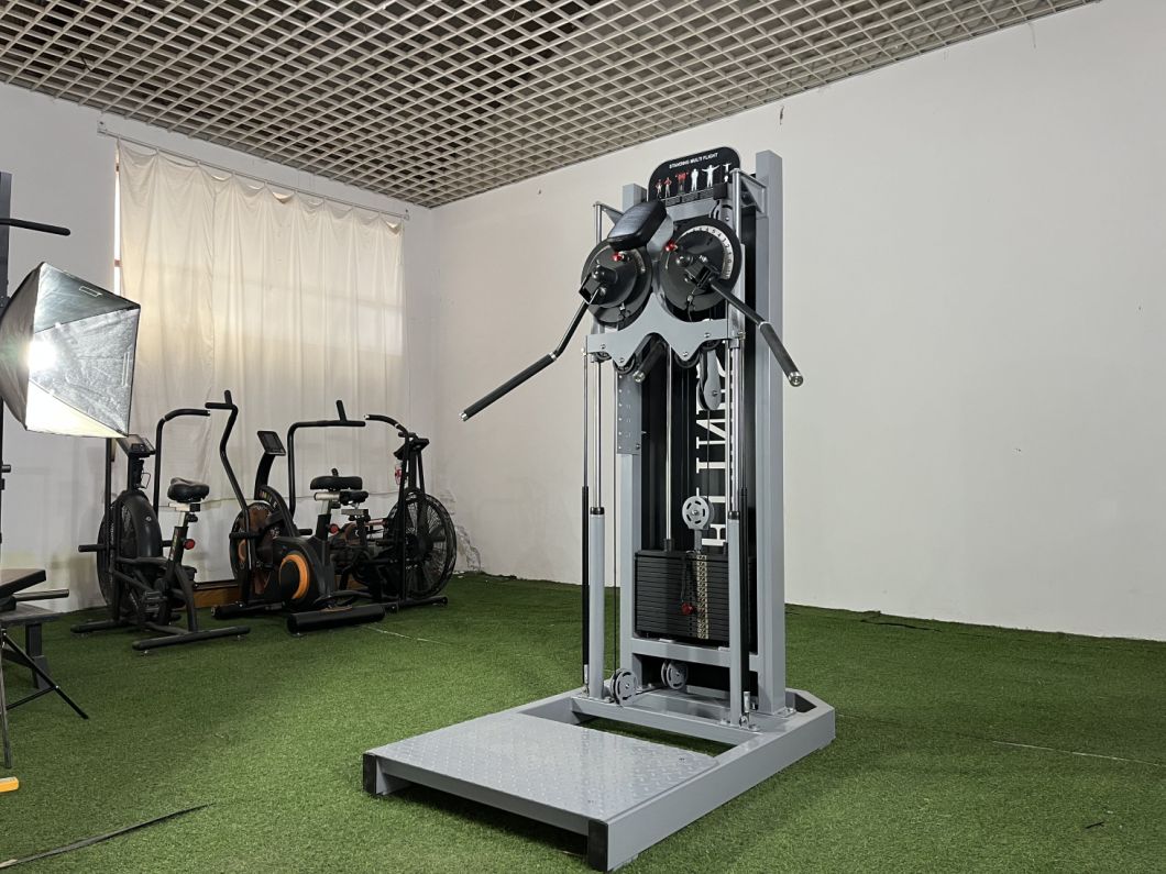 Strength Machine/High Quality Commercial Gym Equipment Side Raise