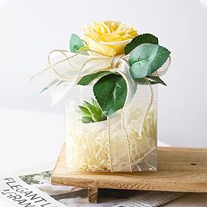Plastic Gift Boxes