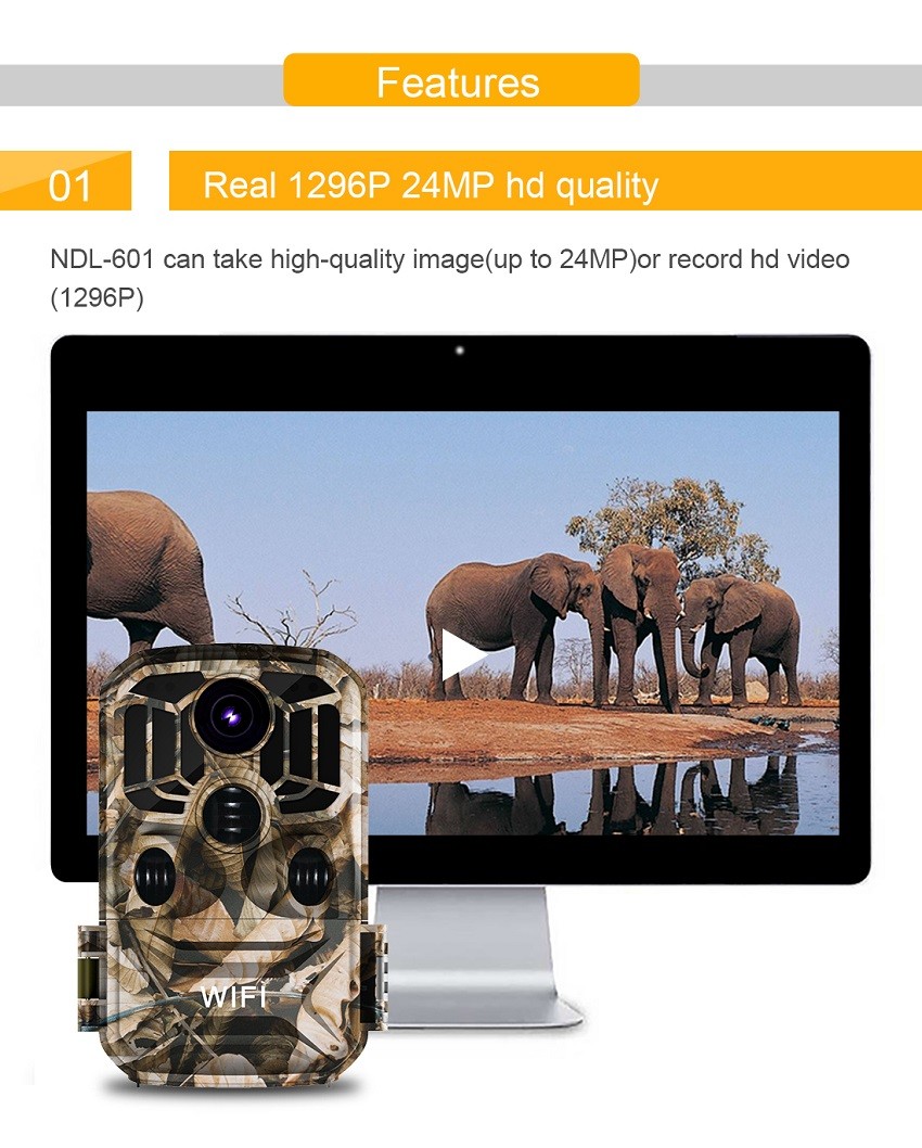 Ip65 Hunting Game Camera 0.4s Trigger Night Vision Low Glow Trail Motion Activated Waterproof