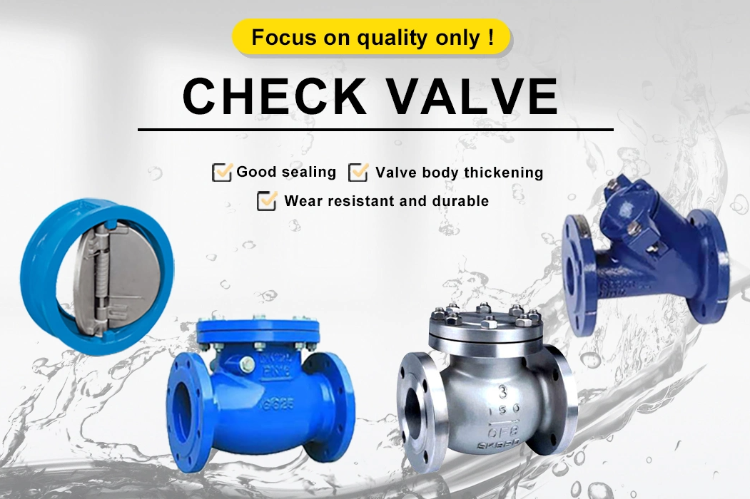 CI Body Material ANSI Standard Stainless Steel Dual Plate and Wafer Check Valve Made
