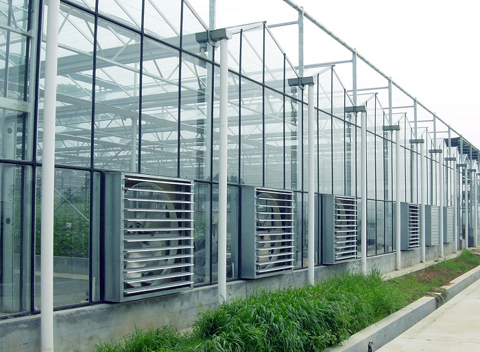 Efficiently Grow Crops Solar Agricultural Greenhouses All Year Round