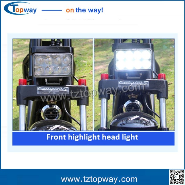 citycoco/seev/woqu 1000w with battery can be removed 18*9.5inch big tyre