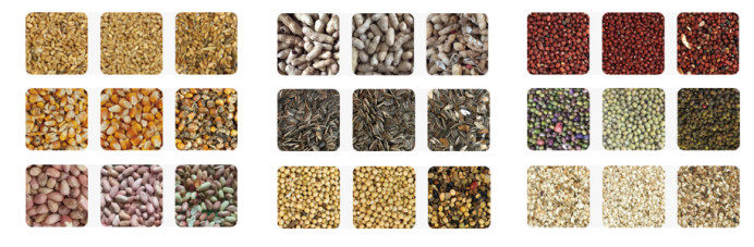 4kw 7 Channel Multifunction Grain Color Sorter Machine 6 - 10tph