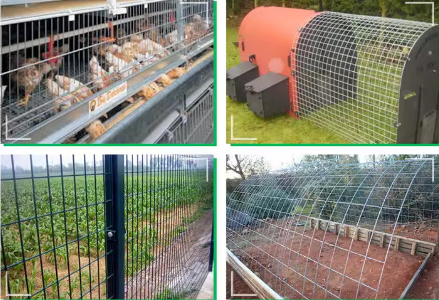 1/4'' 1/2'' Stainless Steel Welded Mesh For Local Welding Free Sample Available