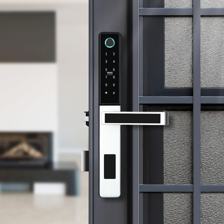 TT Lock Smart Fingerprint Door Lock S874 With Tuya APP Sliding Door Lock