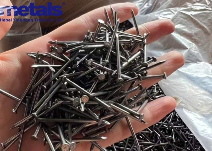 Carbon Steel Stainless Steel Nail Common Wire Various Surface Finishes