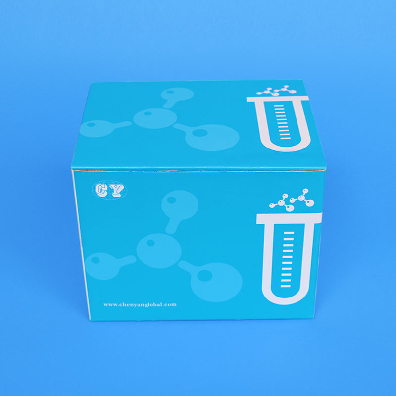 Disposable Medical Dna Purification Kit PCR Detection Swab Kit