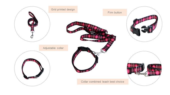 Bright Dog Lead And Collar Set Adjustable 30-48cm Buckledown Dog Collars