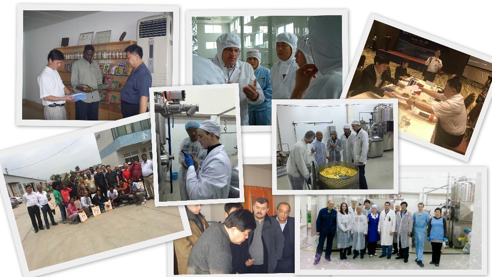Commercial Corn Puff Production Line Stainless Steel Corn Puff Extruder Machine