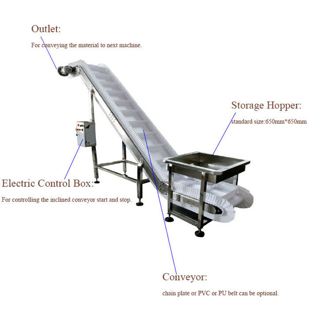 Vegetable Fruit Frozen Food Inclined Conveyor Automatic Belt Chain Conveying