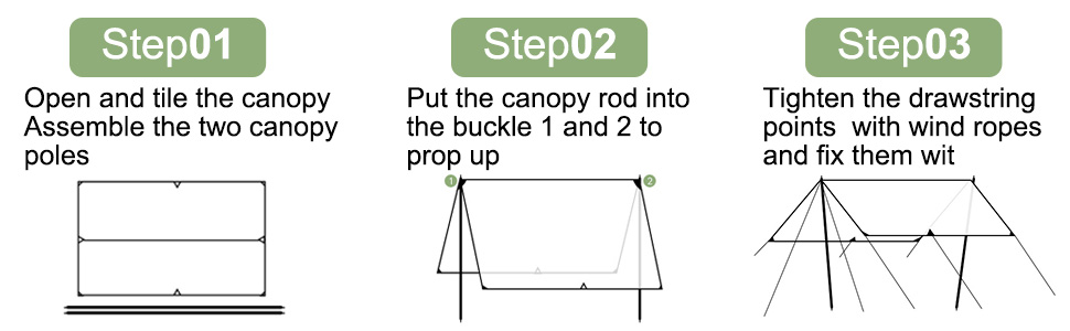 canopy 