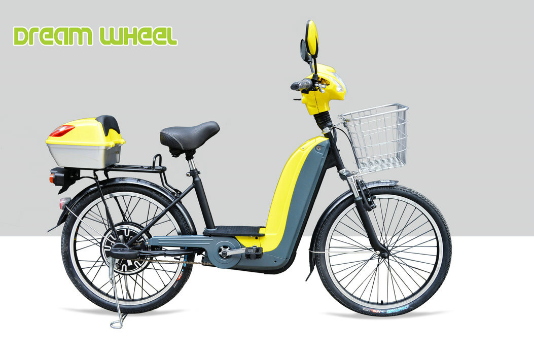36V 350W Pedal Assist Electric Bike 24 Inch Wheel V Brake Rear Brushless Motor