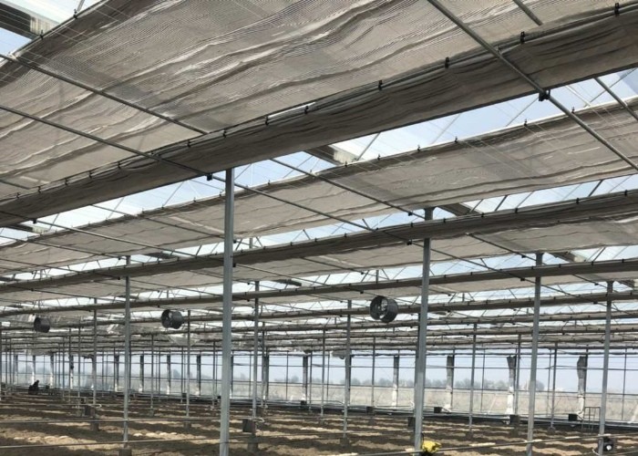 6m 7m 8m 9m Span Clear Plastic Film Greenhouse Vegetable Farming Tomatoes Pepper Lettuce