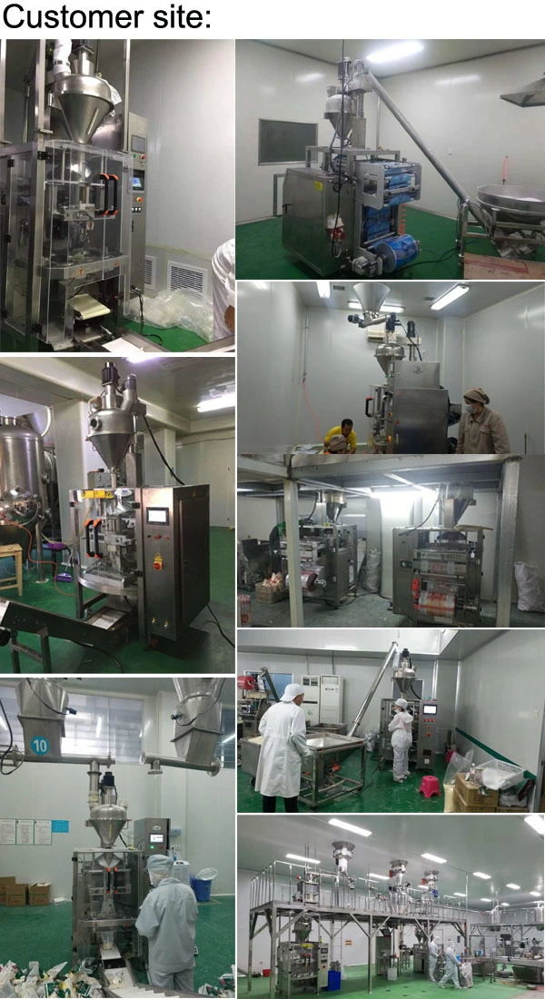 Spice Masala Premade Vertical Powder Packing Machine Detergent Chemical