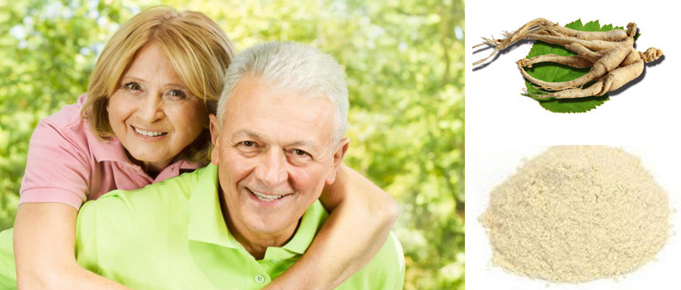 Health Care Improving Immune Root Ginseng Extract Powder
