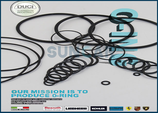 Hydraulic BG O Ring Seal Kit