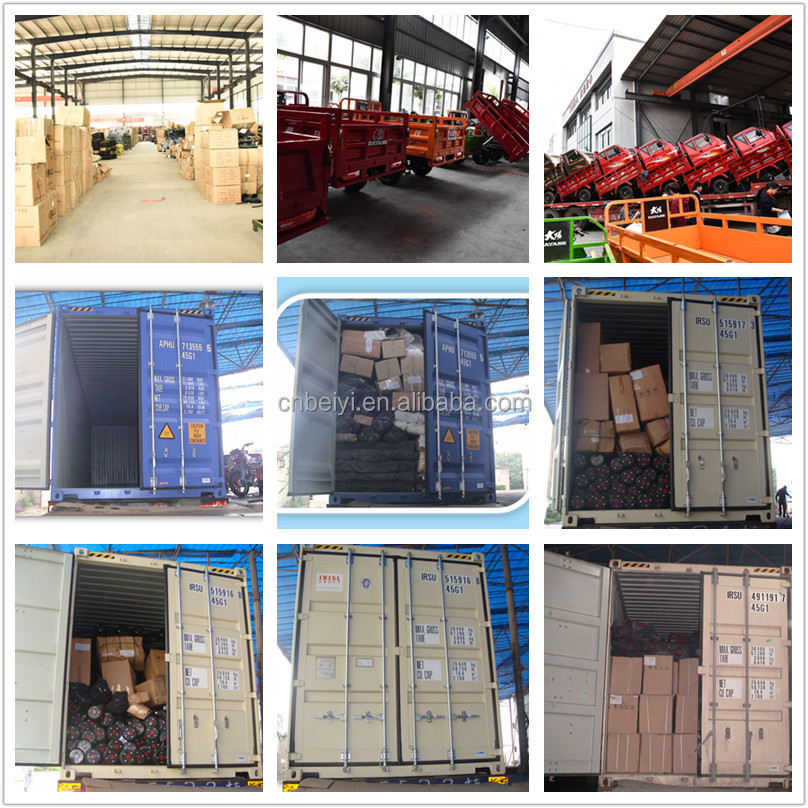 Top Grade Chongqing Oil Tank Tricycle in Brazil Motorized Driving Type 200cc Displacement