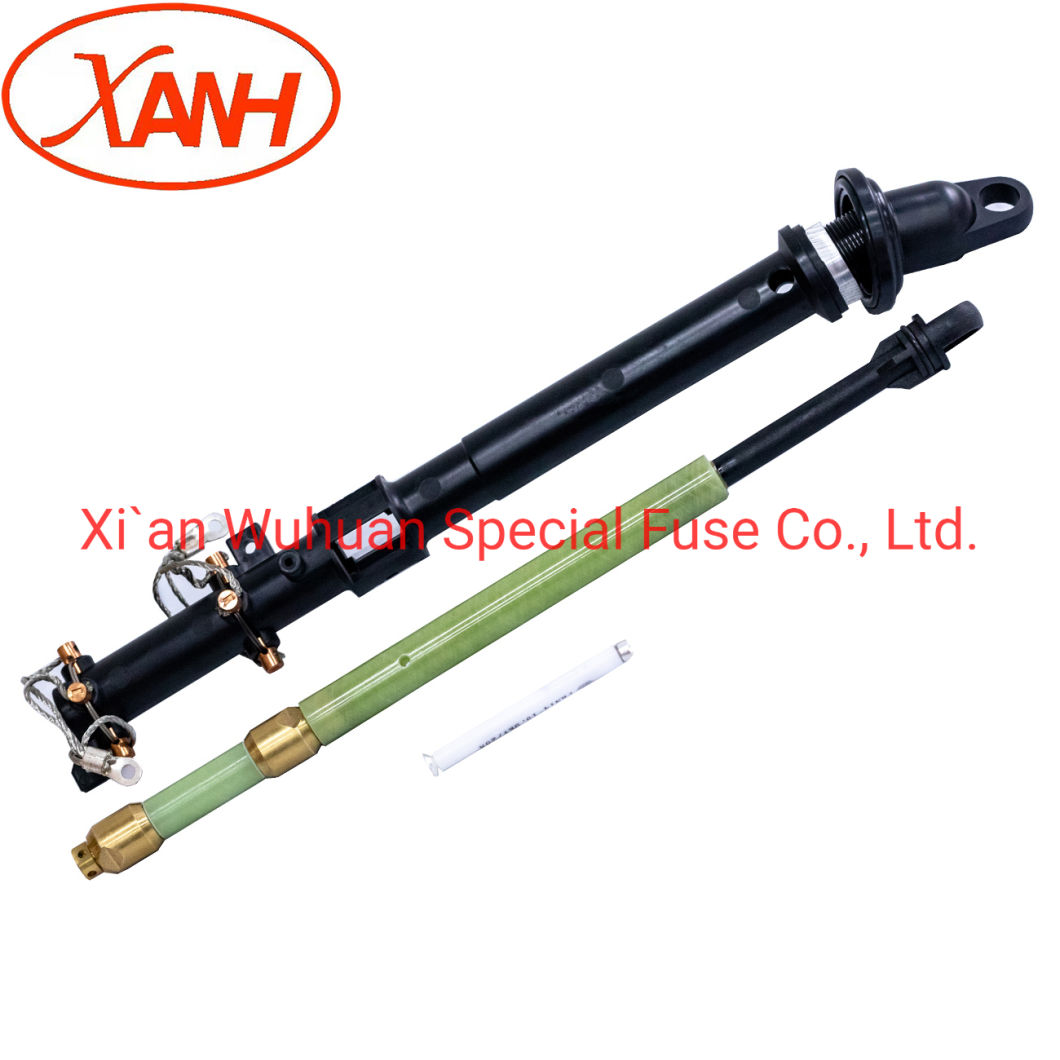 Xrnt4 Model Oil-Immersed Backup High Voltage Current-Limiting Fuse
