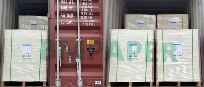 claycoated board