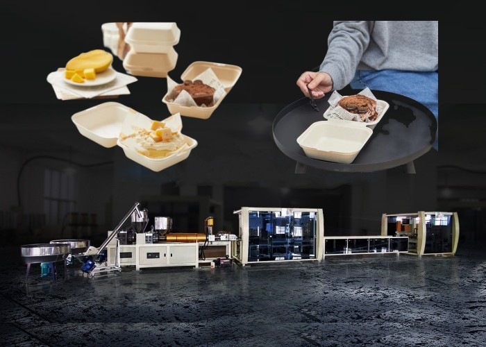 Blister Machinery Burger Box Line Disposable Biodegradable Food Container Machine