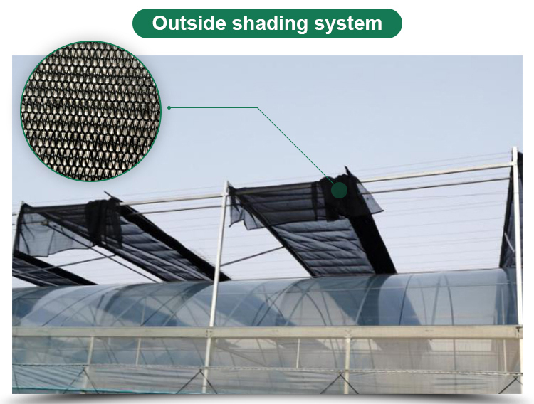 Hot Galvanized Steel Pipe Customized Layer Multi-span Film Greenhouse for High Output