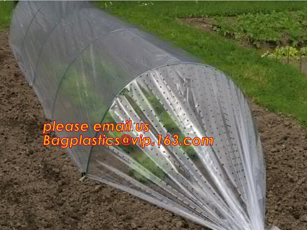 Pe Mulch Film With Holes For Agriculture Perforated Red Plastic Mulch For Peppers Crop Cover For Tomatoes