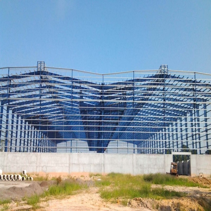 Commercial Steel Structural Building Galvanized Steel Frame Industrial Building