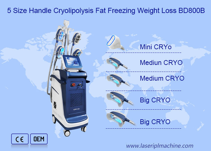 2 In 1 Cellulite Removal EMS Muscle Building Cryotherapy Body Slimming Machine