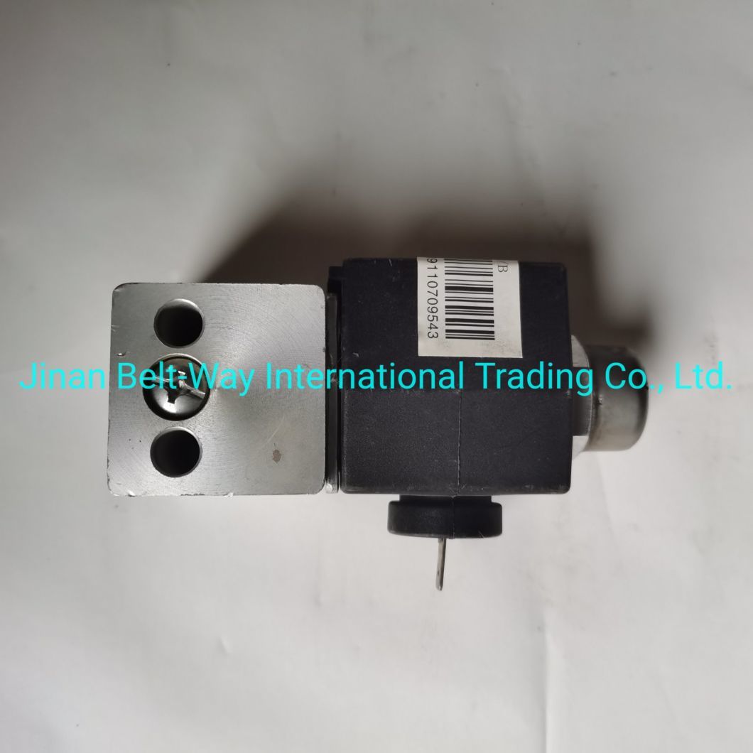 Sinotruk HOWO Truck Parts Magnetic Valve Wg9100710008