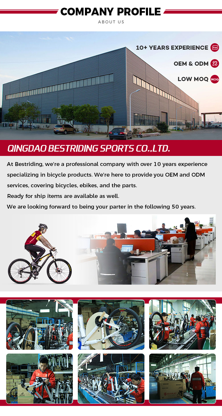 High Configuration 30 Speed 29 Inch Carbon Fiber Mountain Bike with SMN M6000-30Speed