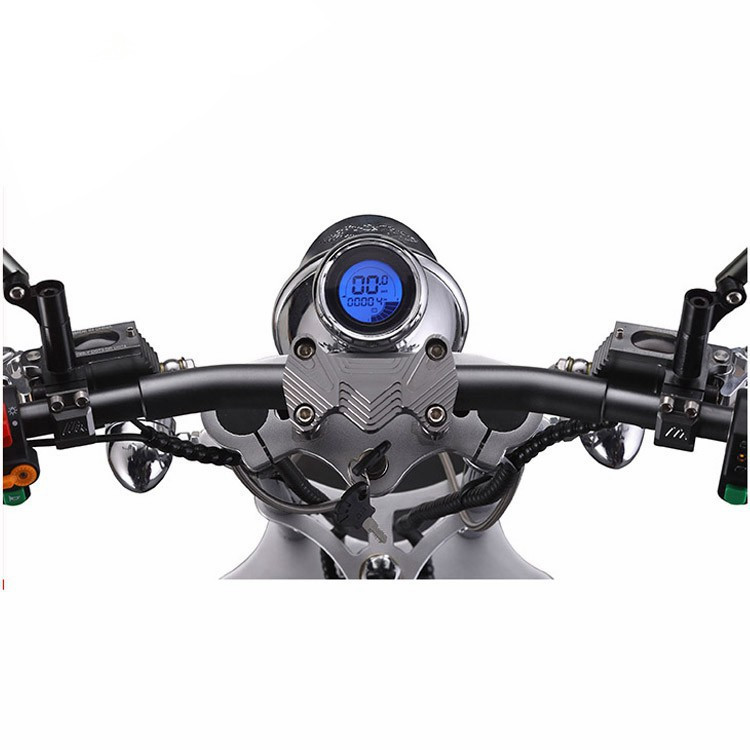 EcoRider 1000W 60V 10ah Big solid tire Two Wheel Electric Motorcycle Scooter Citycoco With front lamp and speedmeter