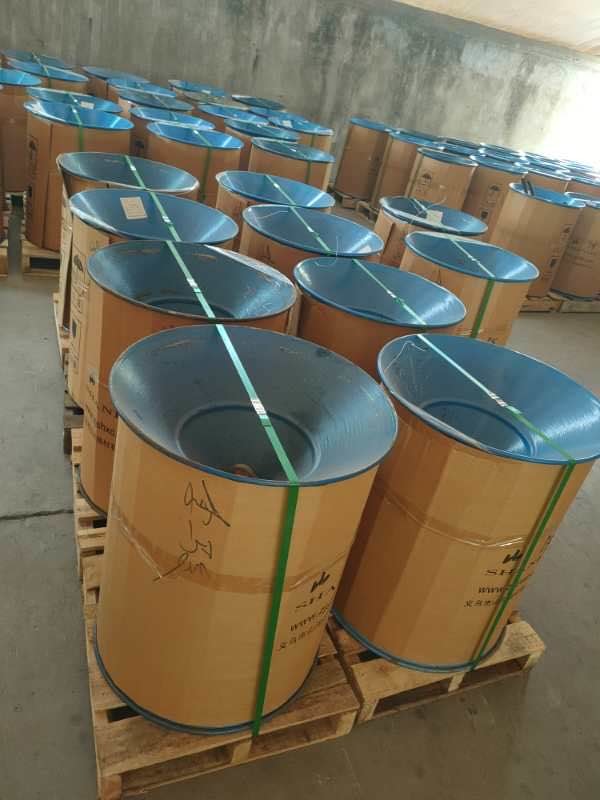 Strong Tension Strength 0.7mm 420kg Nylon Coated Steel Wire