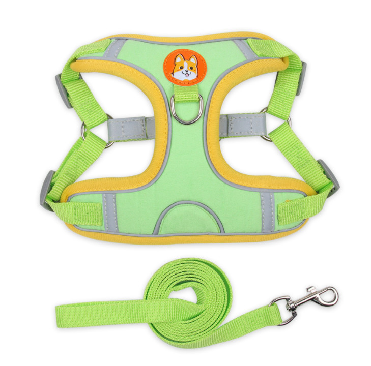 Best Dog Harness For Large Dogs That Pull Harness Collar Leash Set Amazon Dog Harness No Pull