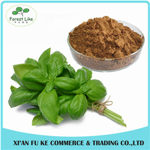Hot Selling Herbal Extract Holy Basil Leaf Extract 4:1 - 20:1