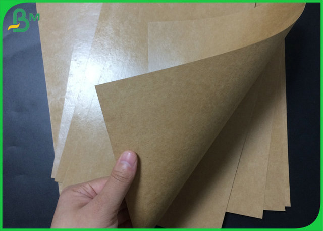 Food Grade Poly Coated Kraft Paper Roll 300gsm 350gsm To Food Tray Making 