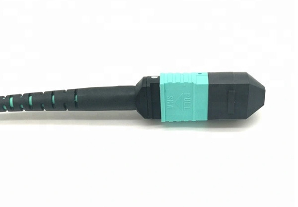 OEM Multimode Temperature Control 12-Fiber And 24 Fiber MPO / MTP Connector Standard