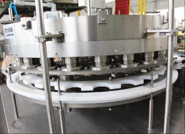Diced Food Automatic Filling Machines Packaging